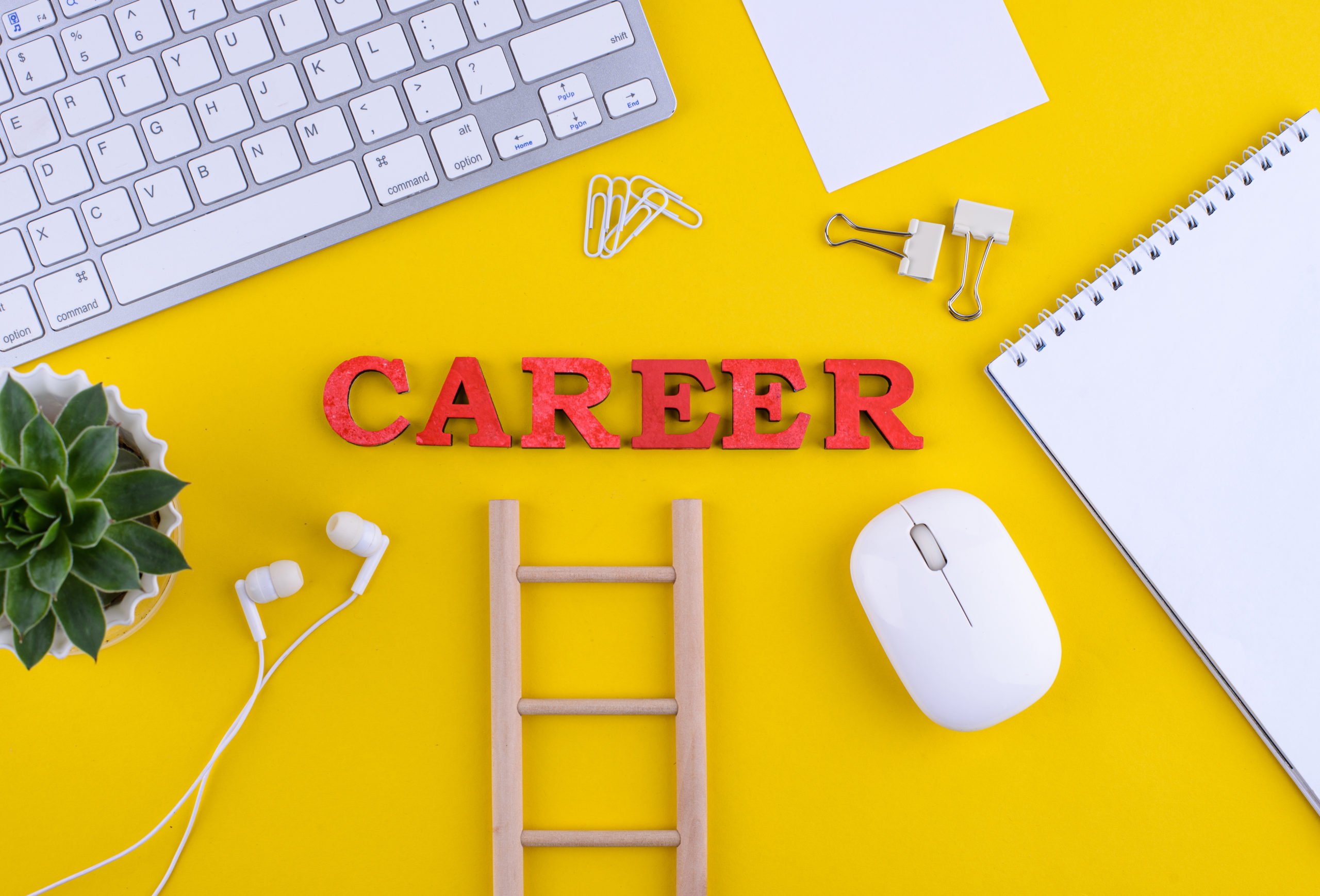 Career Ideas for Anyone Who’s Searching