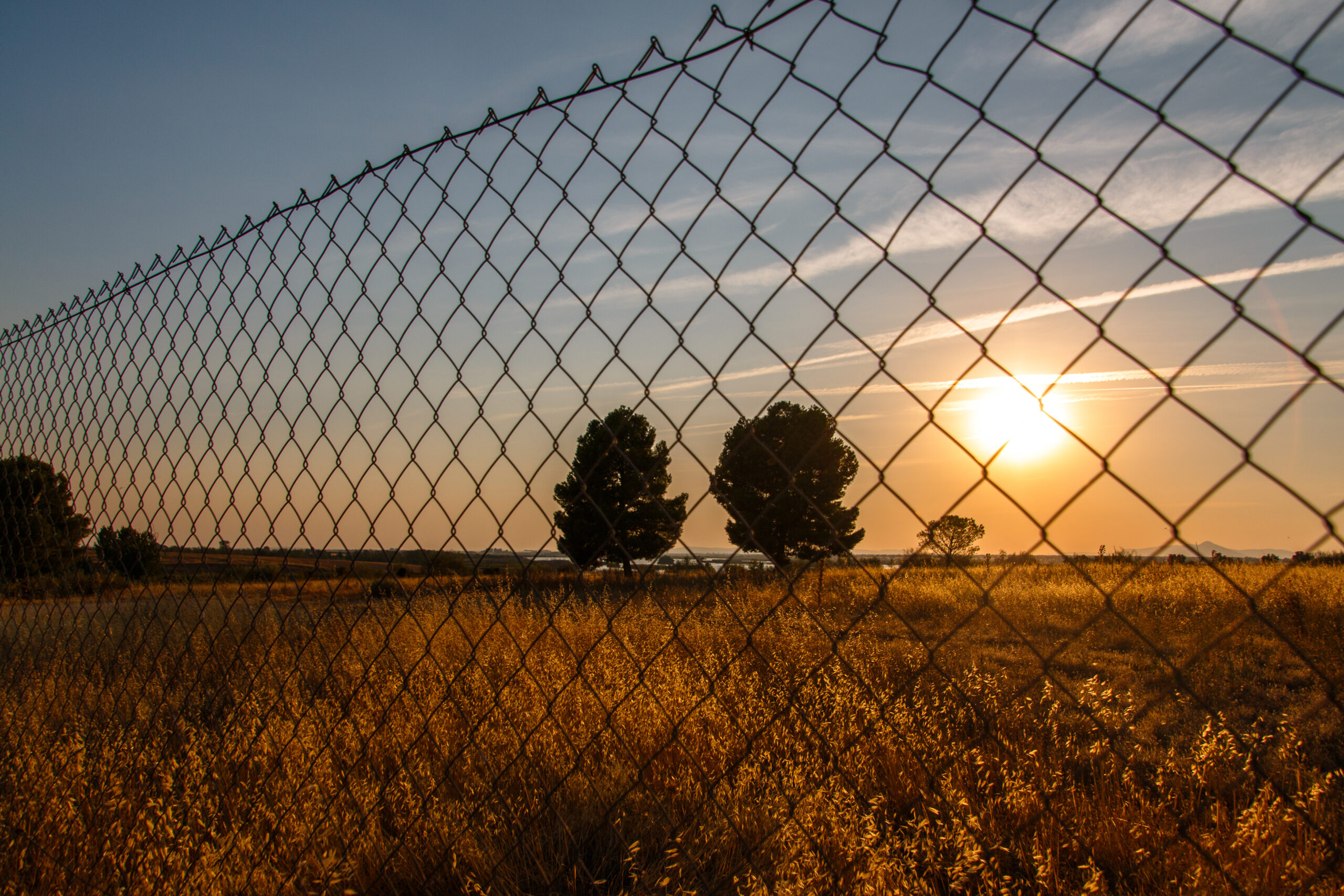 Chain Link Fence Cost in Boise: 2025 Pricing Guide
