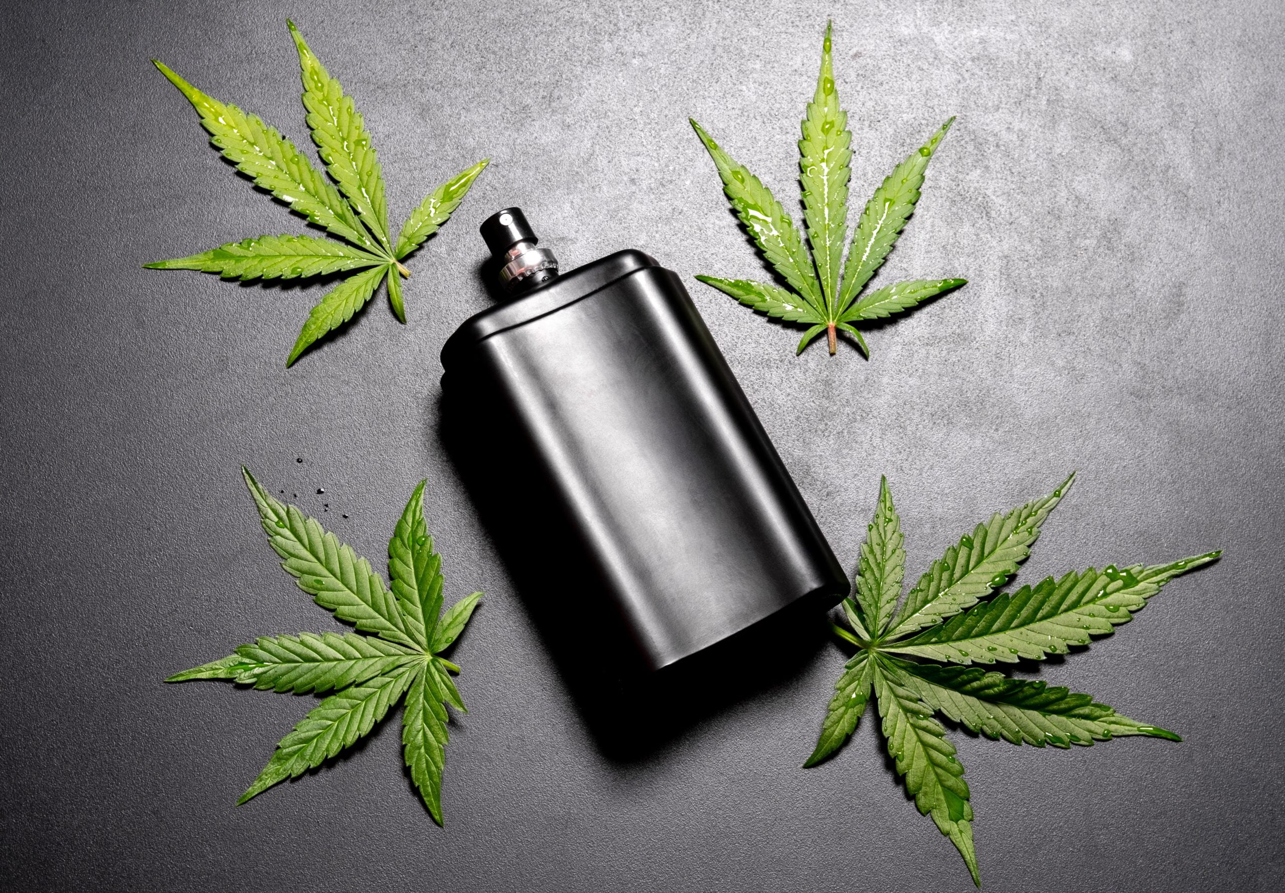 How To Choose the Right CBD Spray for Your Needs